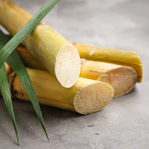 Sugarcane